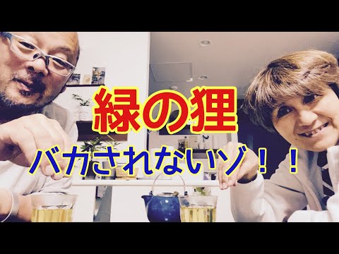 【夕飯どきの夫婦雑談】「なんかヘンじゃない？vol. 463」ミドリのたぬきにはもうバカされないゾ❗️