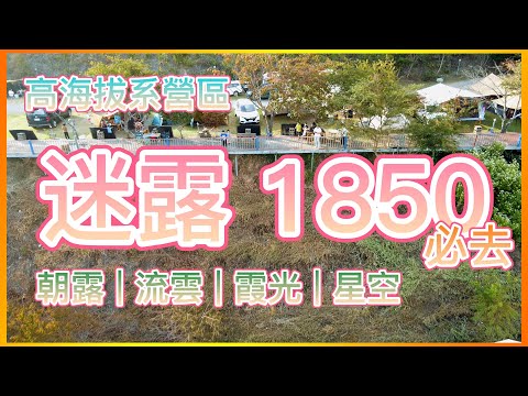 NO.01 高海拔露營區推薦《迷露1850》必去 | 營區超詳細介紹 | 日出 雲海 銀河 櫻花 通通有