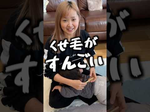 1歳児の癖毛がすごすぎてトリートメント使いたい#赤ちゃん #shorts