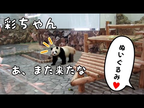 どんなもんじゃウィンドウショッピング