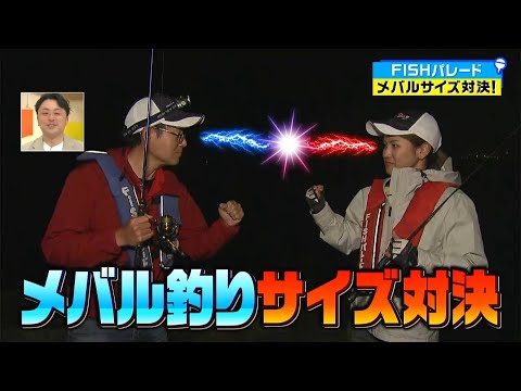 坂本大輔 VS 山口美咲ちゃん、高見島の波止からメバリングでサイズ対決！｜FISHパレード（2023年4月28日放送）