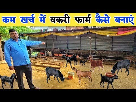 सुधीर सर से सीखिए बकरी फार्म कैसे बनाएं | Goat farm shed design | Goat farm