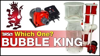 Can you spot the difference? Bubble King Protein Skimmer Spotlight - Royal Exclusiv