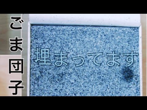 四代 嘉心 づくめ団子を発掘する【ごま団子】