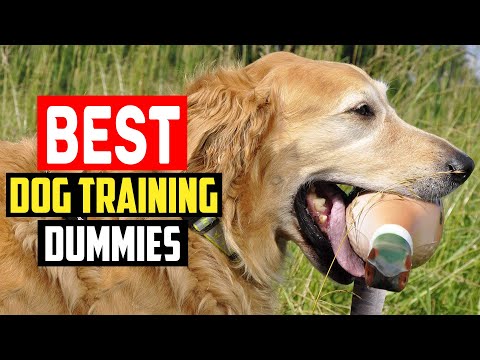 ✅Top 5 Best Dog Training Dummies in 2023