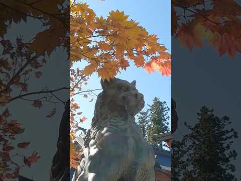 秋🍡秋🍡癒しを求めて紅葉狩り🍁🍂🍃🦁#東京 #御岳山 #紅葉