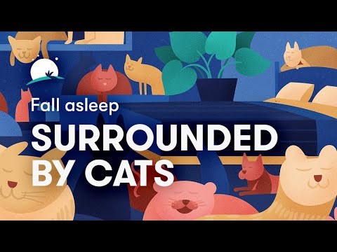 Fall Asleep Surrounded by 50 Purring Cats | 8-Hour Immersive 3D Sound Journey | BetterSleep