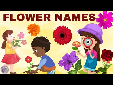 Flowers Name | Learn Flowers Name in English With Pictures | Nursery Kids Video | Kinder Roots