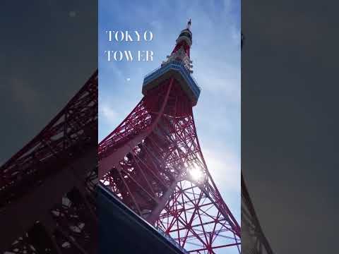 #도쿄타워#tokyotower#東京タワー