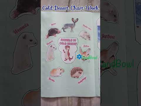 Cold Desert Chart Work/School Project ideas/School project chart work/Desert Chart work/lapbook