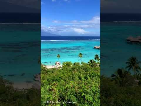 🏝️ザ・楽園というイメージに近い場所だった。。