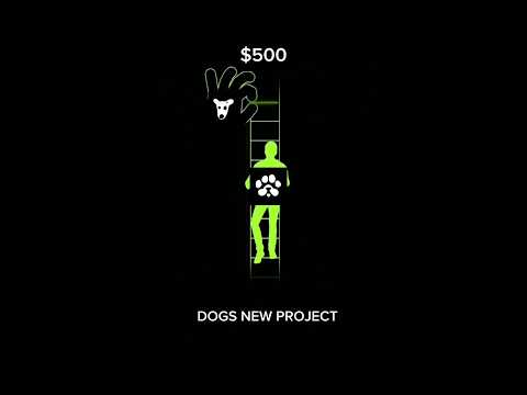 Dogs new project