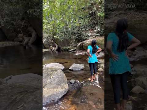 Natural pool ❤️#natrure #love #roadtrip #love #travel #travelwithbaby #youtubeshort #wayanad #water