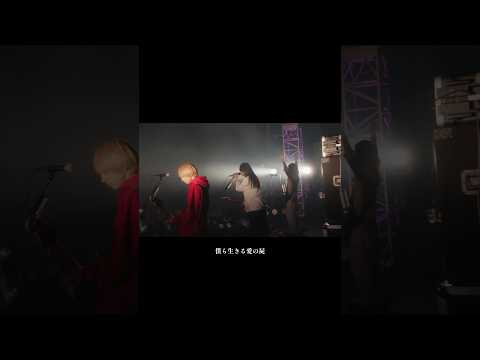 「愛の屍」LIVE(2023.12.31@COUNTDOWN JAPAN 23/24)