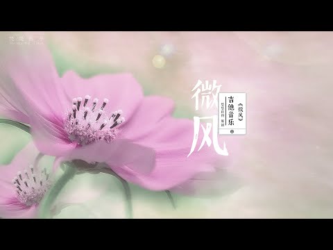 🔴吉他音樂 Gitar music【微风】原創音樂 original music放鬆 舒缓 解压 轻松 冥想 睡眠 背景 纯音乐|悠悠自得|Relaxing time