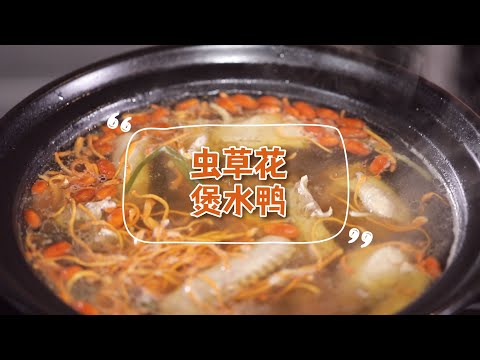 【蟲草花煲水鴨】大廚教你做食療湯水，湯鮮肉嫩又滋補，一周三次喝不膩！| 拜托了煮夫