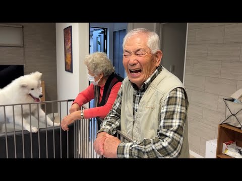 しばわんこ生活家の動物園、開園！