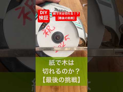 紙で木を切れるのか!? お正月の最後の戦い！検証動画#diy #お正月 #検証動画 #検証