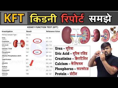 किडनी फंक्शन रिपोर्ट | KFT Report | RFT | Kidney Function Test | Blood Test | Blood Report | Doctor