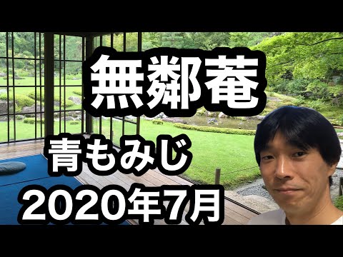 【京都】京都旅行　無鄰菴 青もみじ　2020年7月 見どころ案内 (ガイド付き)