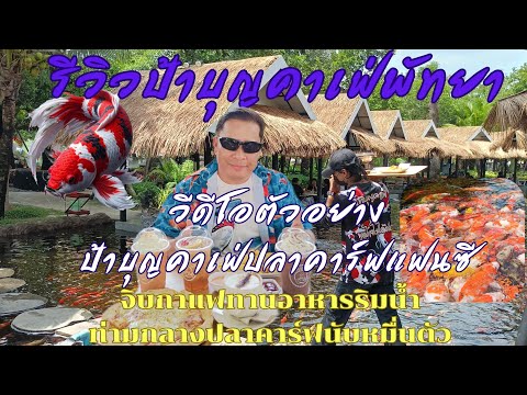 @ป้าบุญคาเฟ่ปลาคาร์ฟแฟนซีพัทยา(วีดีโอตัวอย่าง) จิบกาแฟทานอาหารท่ามกลางฝูงปลาคาร์ฟนับหมื่นตัว