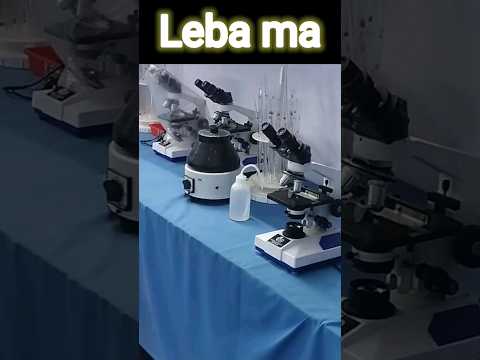 college life  laba ma true love 🤟 #ytshorts #shots  #youtubeshorts  #trending #video