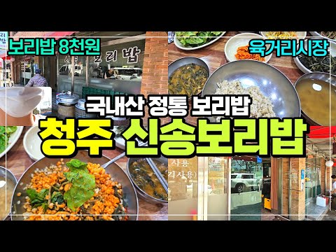 줄서서 먹는 청주 육거리시장 정통보리밥집 신송보리밥 리뷰 / 8천원으로 국내산 보리와 다양한 반찬까지