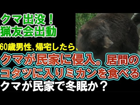 クマ駆除に向け猟友会が出動。帰宅したら茶の間にクマ。コタツに入りミカンを食べやりたい放題。今も民家に居座っている模様。