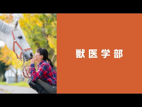 北里大学 獣医学部 学部紹介