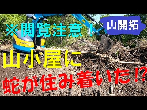 【山開拓】山小屋に蛇が住み着いた⁉