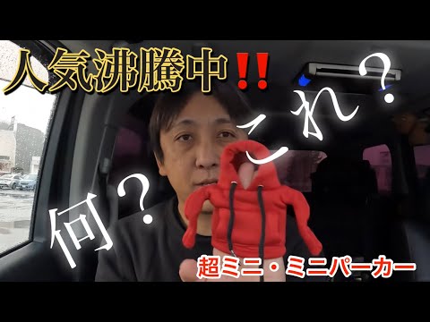 【女性に人気】コレを付けると車内が激カワになるアイテム！