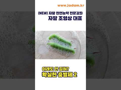 이래도 안잡혀? 확실한 충방제!2  Still can't control pests? The best control pest.2