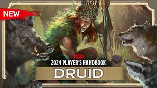 New Druid | 2024 Player's Handbook | D&D