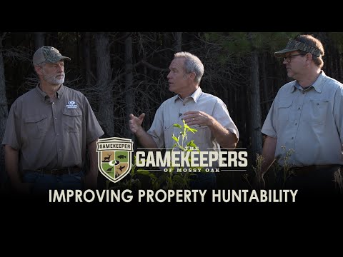 Improving Property Huntability