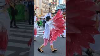 Samba Carnival Asakusa 2023 #tokyo #music #japanese #summer #brazilian #sambacarnival#samba