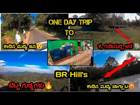 🥺ಗಂಧದ ಗುಡಿ ಶೂಟಿಂಗ್ ನೆಡೆದ ಜಾಗ?? //oneday trip on BR Hill'😇😇