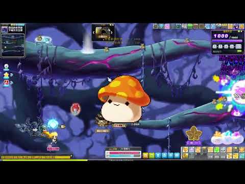 新楓之谷maplestory 回憶角色 "聖騎士" 大人 206等 有夠坑 颱風假就這樣沒了