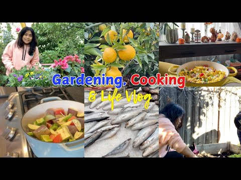 Filipino Food, Garden and Life Vlog #4  | Living in Los Angeles