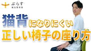 【正しい座り方】猫背姿勢にならない椅子の座り方を紹介します！