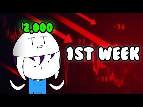 Noob's First Week Day Trading in 2024