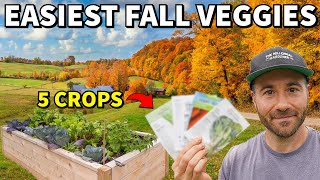 5 Easy Veggies To Plant In Fall And FORGET All Winter!