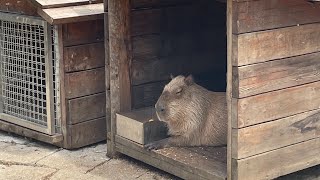 桃園大溪 蘇家莊園