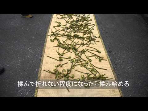 ゼンマイの利用―鮭川村の郷土食