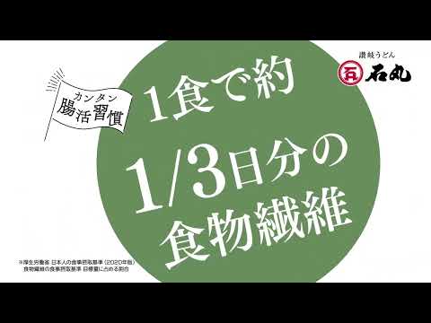 食物繊維たっぷり細うどん（石丸製麺）