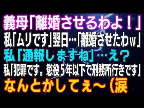 【スカッとする話】義母「離婚させるわよ！」私「ムリです」翌日…「離婚させたわｗ」私「通報しますね」え？私「犯罪です。懲役５年以下、刑務所行きです」なんとかしてぇ～（涙