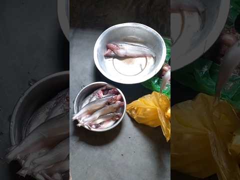 fish cutting