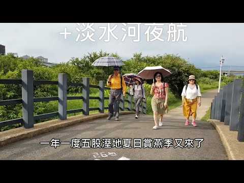 2019五股濕地賞燕季