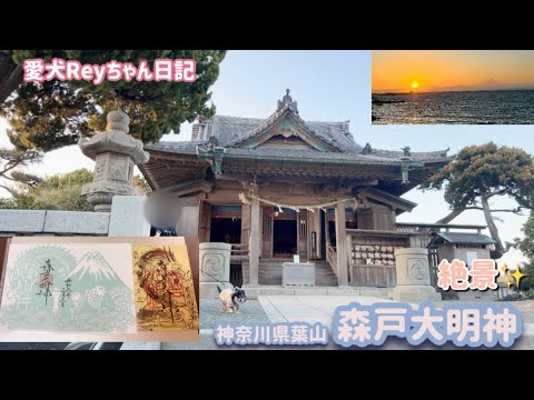 パワースポットめぐり神奈川県葉山森戸大明神　　愛犬Reyちゃん日記#369  #御朱印