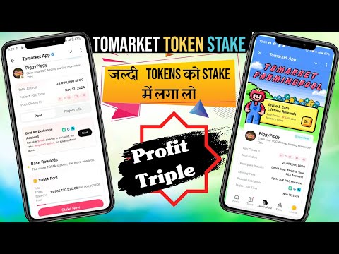 Tomarket Farmingpool Stake Piggy Piggy | $Toma To $PGC Withdrawal Process 7 November 2024