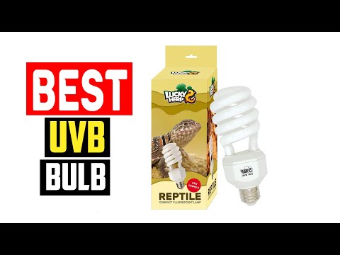 ✅Best UVB Bulb For Bearded Dragon in 2023